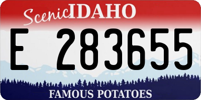 ID license plate E283655