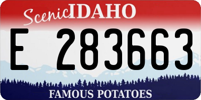ID license plate E283663