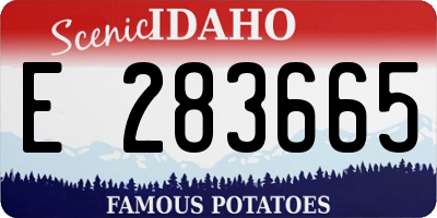 ID license plate E283665