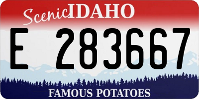 ID license plate E283667
