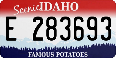 ID license plate E283693