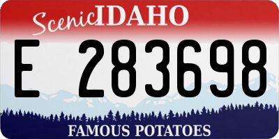 ID license plate E283698