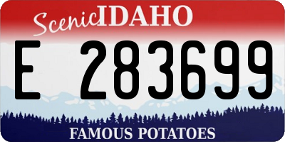 ID license plate E283699
