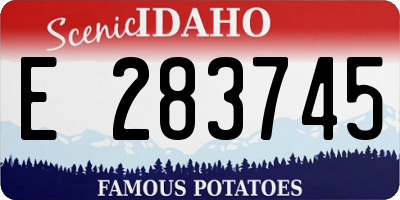 ID license plate E283745