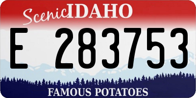 ID license plate E283753