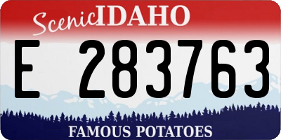 ID license plate E283763