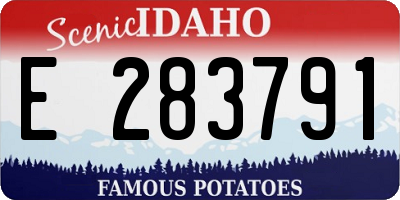ID license plate E283791