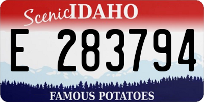ID license plate E283794