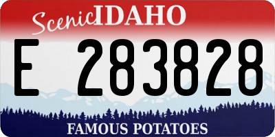 ID license plate E283828