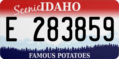 ID license plate E283859