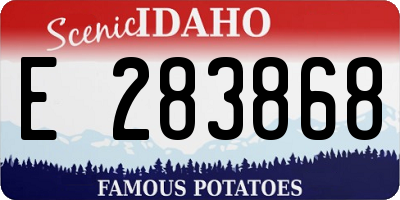 ID license plate E283868
