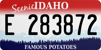 ID license plate E283872