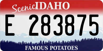 ID license plate E283875