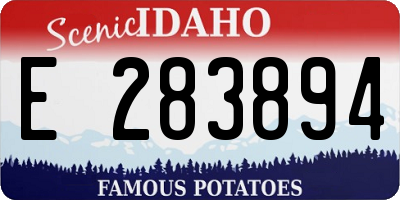 ID license plate E283894