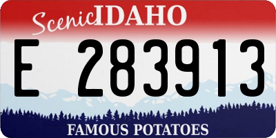 ID license plate E283913