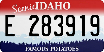 ID license plate E283919
