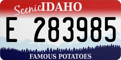 ID license plate E283985