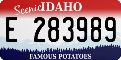 ID license plate E283989