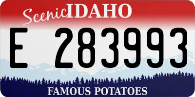 ID license plate E283993