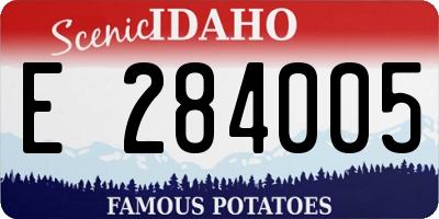 ID license plate E284005