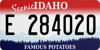 ID license plate E284020