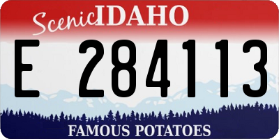 ID license plate E284113