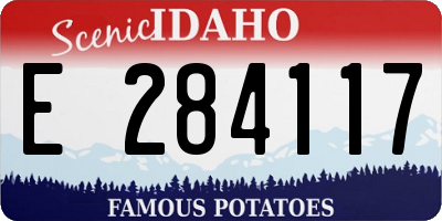 ID license plate E284117