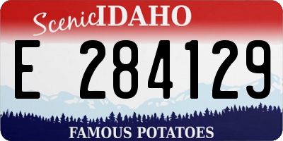 ID license plate E284129