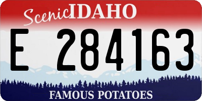 ID license plate E284163