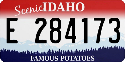 ID license plate E284173
