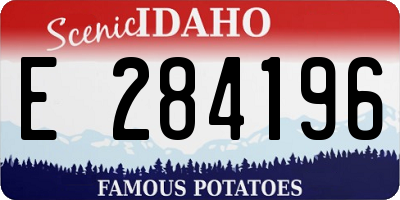 ID license plate E284196