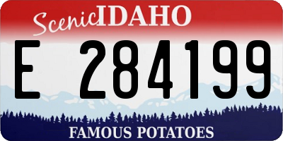 ID license plate E284199
