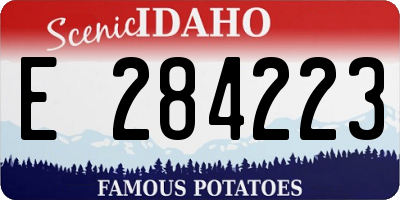 ID license plate E284223