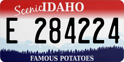 ID license plate E284224