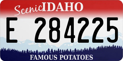 ID license plate E284225