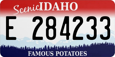 ID license plate E284233
