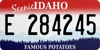 ID license plate E284245