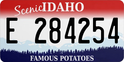 ID license plate E284254
