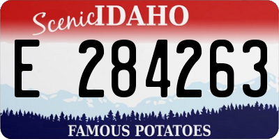 ID license plate E284263
