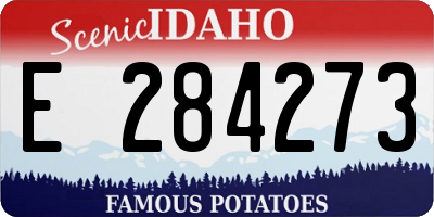 ID license plate E284273