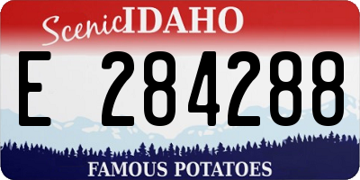 ID license plate E284288
