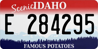 ID license plate E284295