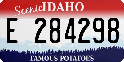 ID license plate E284298