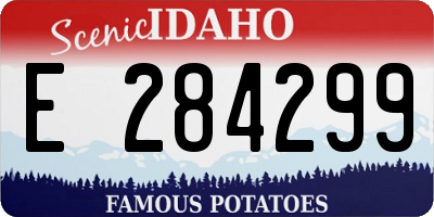 ID license plate E284299