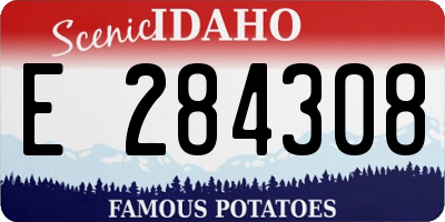 ID license plate E284308