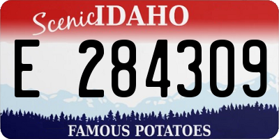 ID license plate E284309