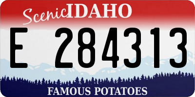 ID license plate E284313