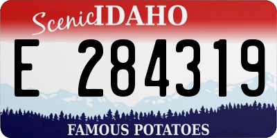 ID license plate E284319