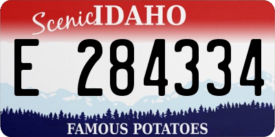 ID license plate E284334