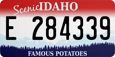ID license plate E284339